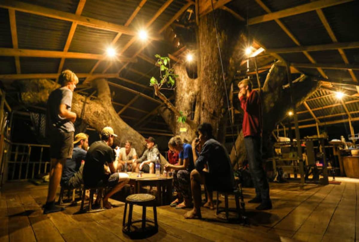 World's tallest tree house made in Laos forest to save gibbons