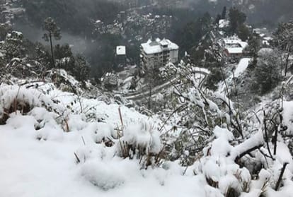snow fall in shimla people are excited for christmas and new year