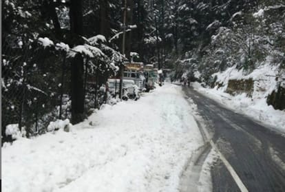 snow fall in shimla people are excited for christmas and new year
