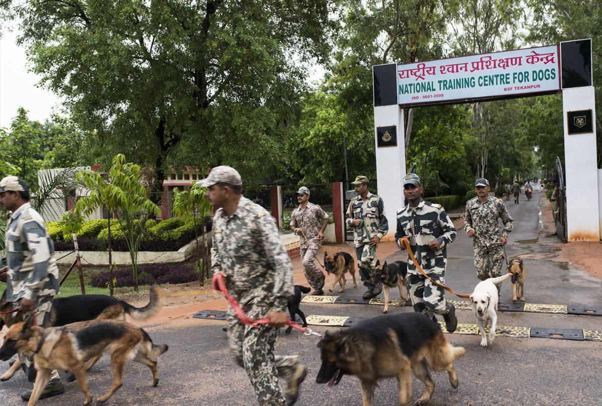 dogs will now take the security charge on line of control of india and pakistan