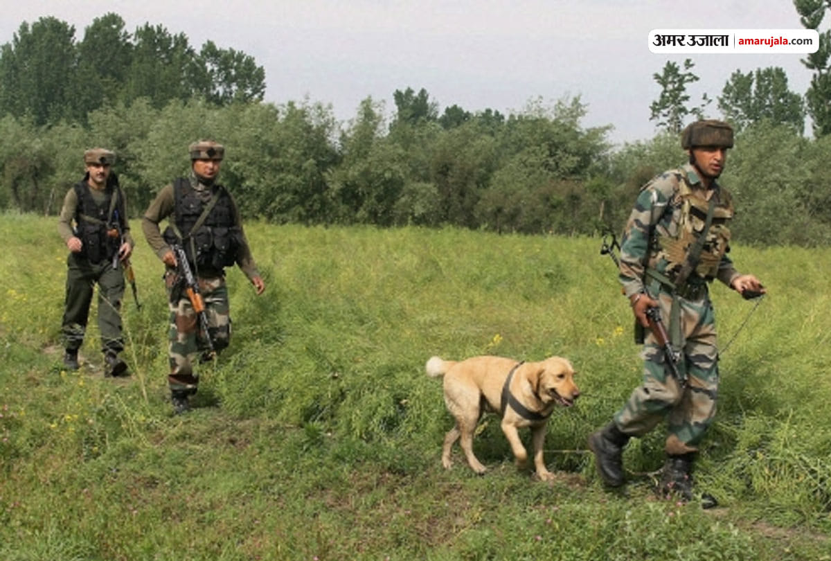 dogs will now take the security charge on line of control of india and pakistan