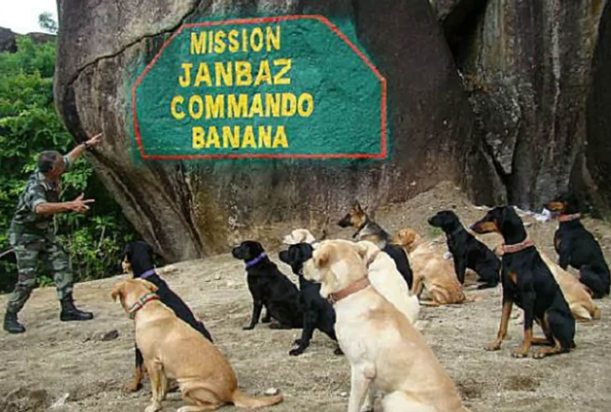 Indigenous dogs will be included in PM security squad, Meerut RVC handed over to SPG after training