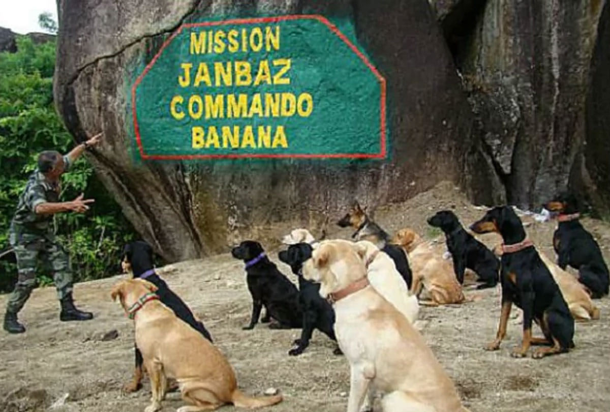 dogs will now take the security charge on line of control of india and pakistan