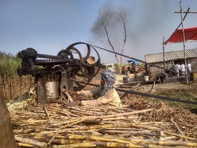 Farmers are forced to sell 120 quintal of sugarcane