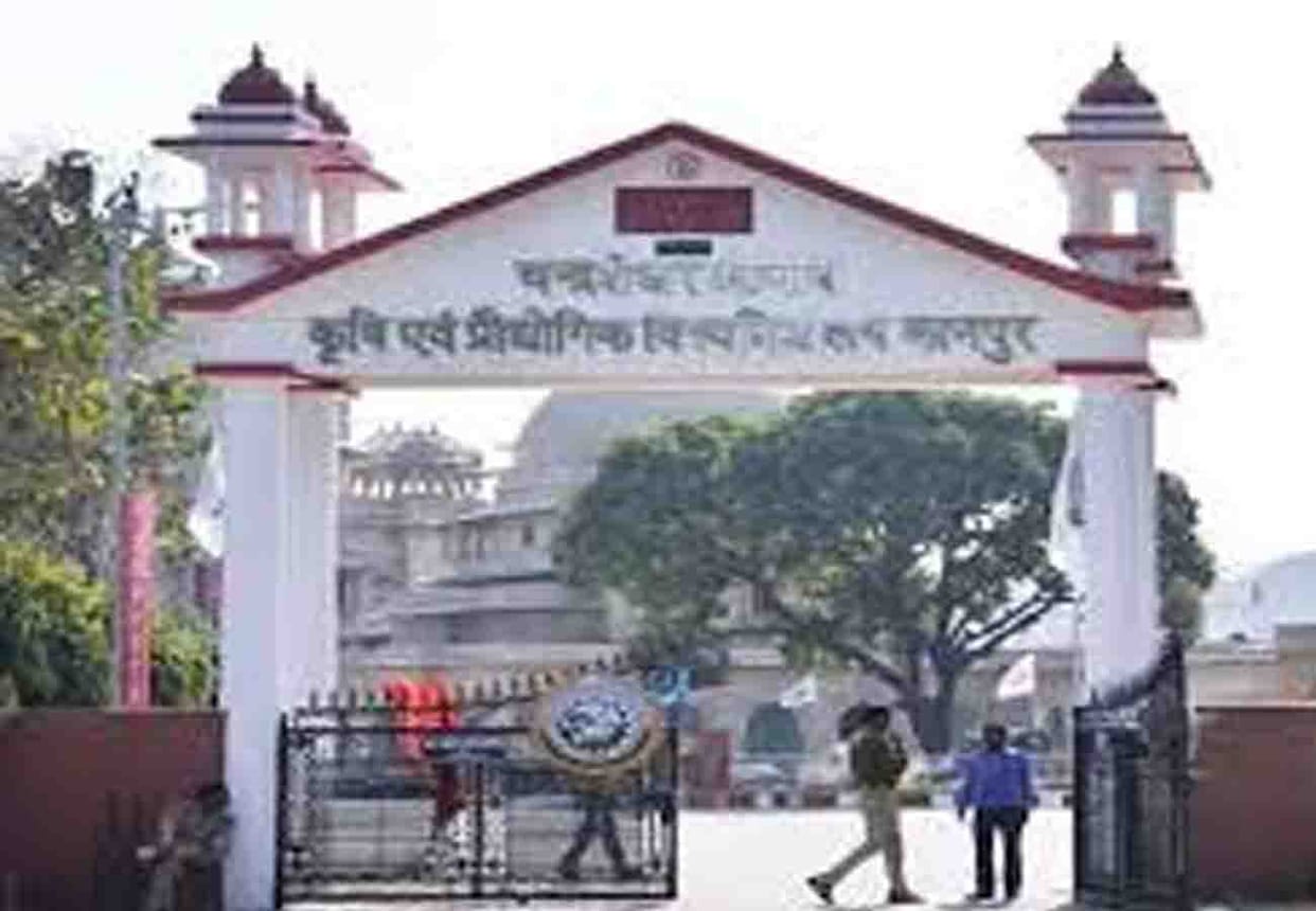 New certificate courses will start in CSA, will make students capable of employment