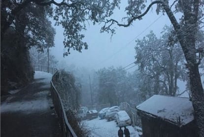 snow fall in shimla people are excited for christmas and new year