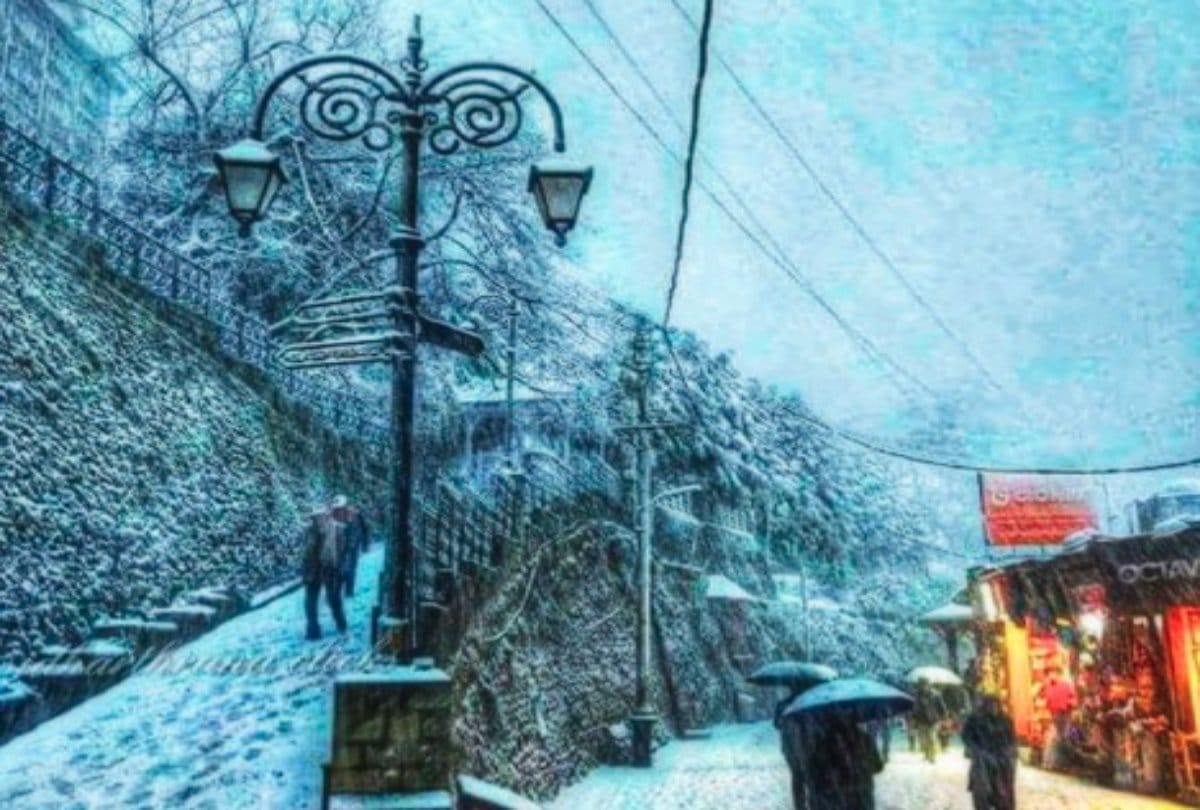 snow fall in shimla people are excited for christmas and new year