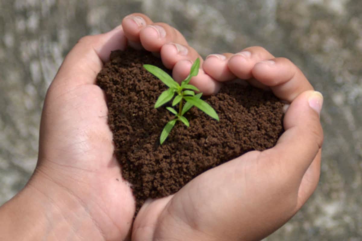 world soil day 2021 theme history and significance