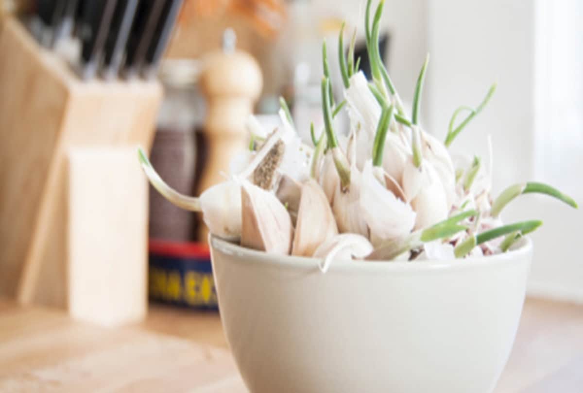 Why onions are considered tamasic and rajasic in Ayurveda and what are their benefits