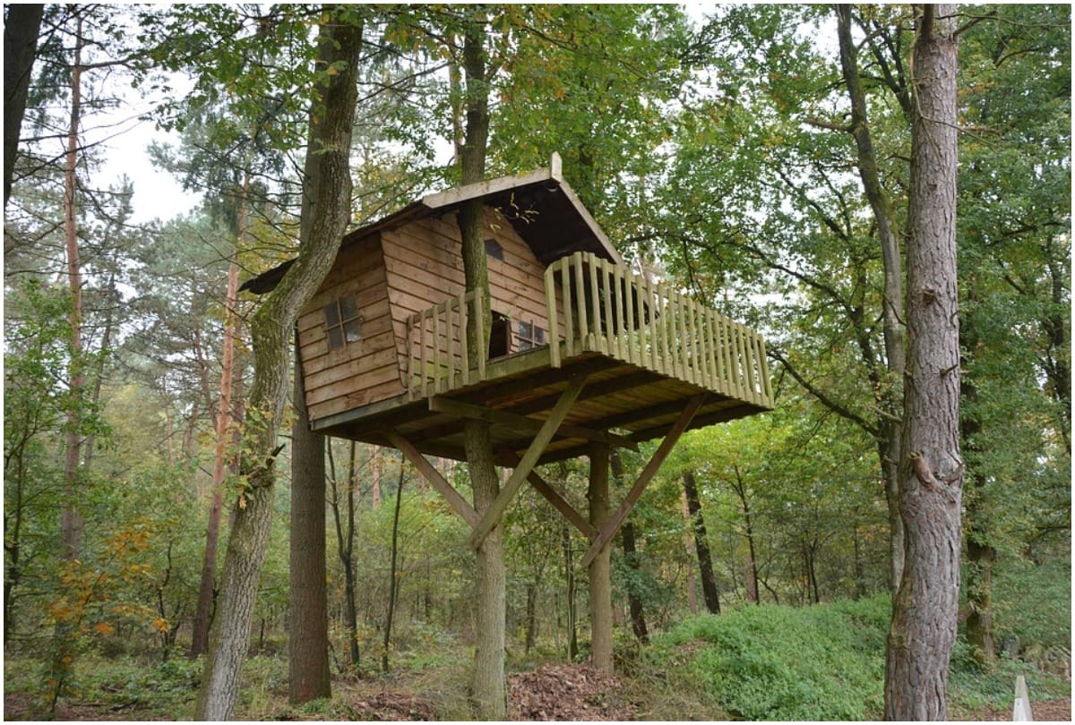 himachal pradesh tourism department eill no give license for tree house as home stay