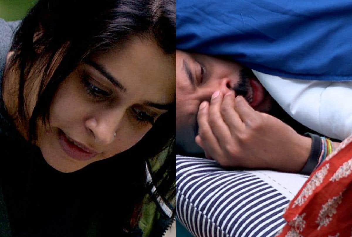 Bigg Boss 12 dipika kakar and Sreesanth fight before 2 week of Finale