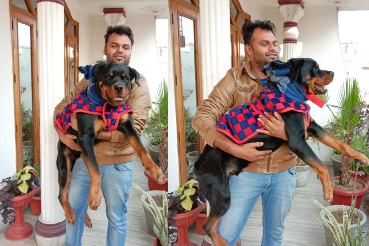 Pet care for winter this is how meerut people caring their pets