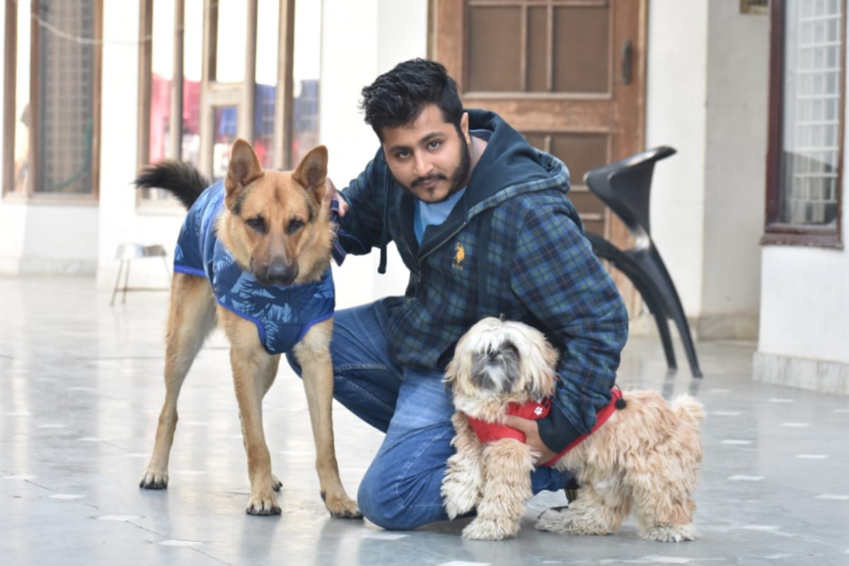 Pet care for winter this is how meerut people caring their pets