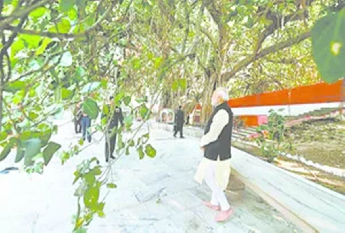 Original Akshaya will open before the first royal bath of Aquarius