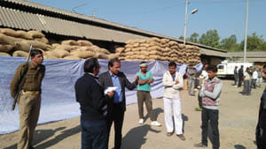 inspection in crops mandi