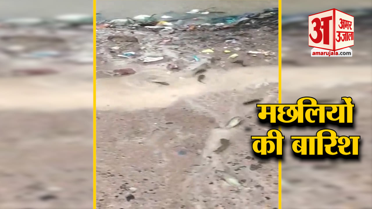 मछलियों की बारिश