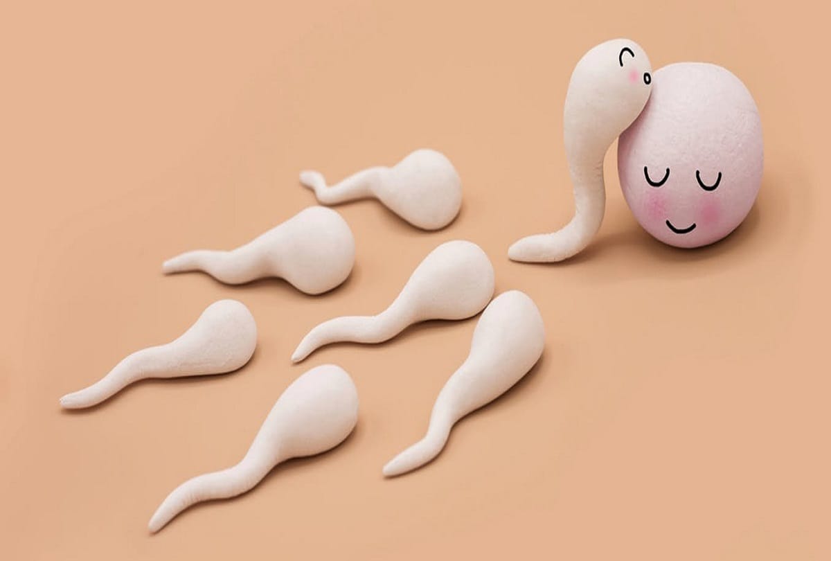how to track ovulation period and know important things about ovulation