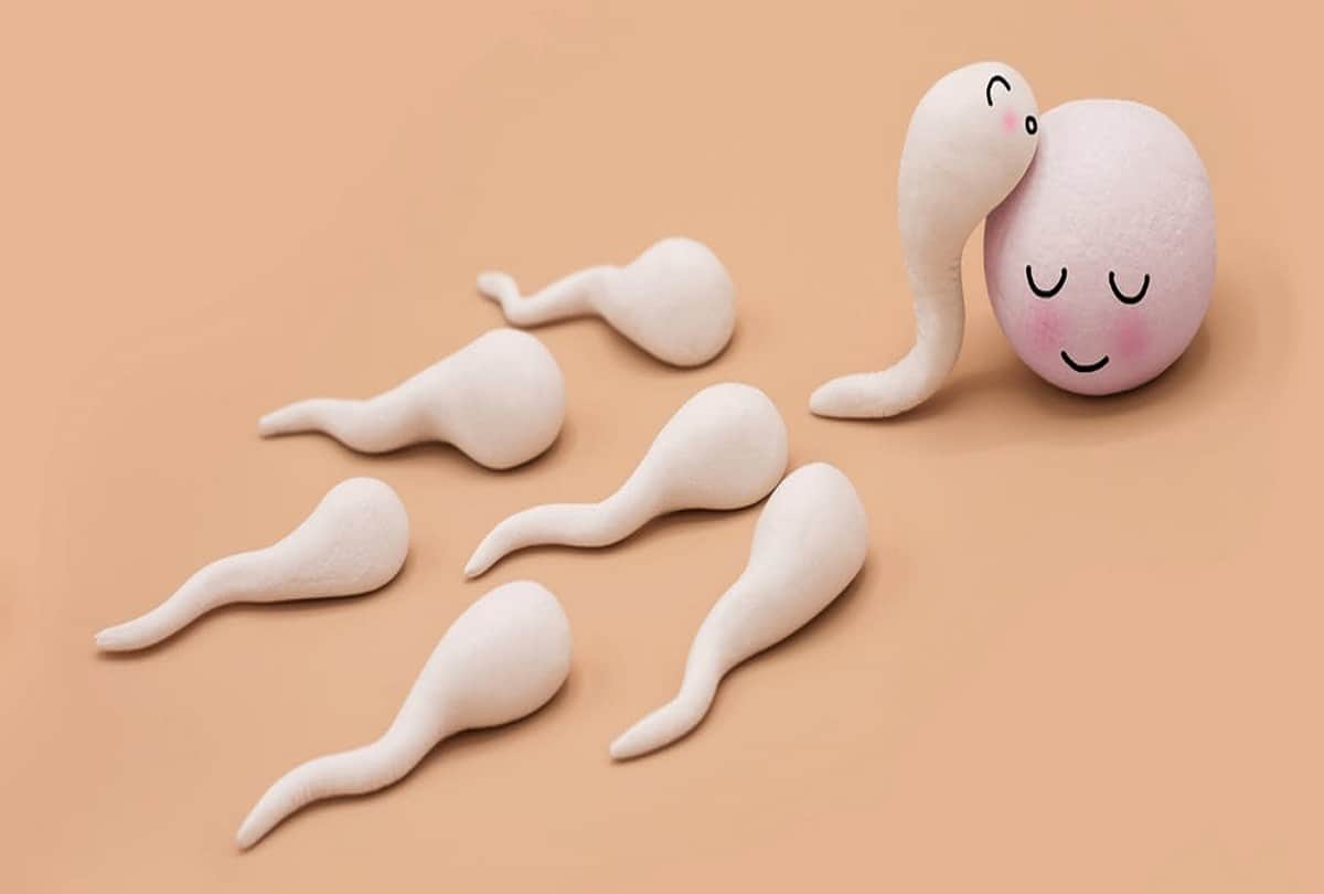 My Wife Doesn't Like Our Baby Return To Sperm Donors Husband Wants Divorce