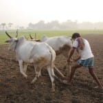 किसान