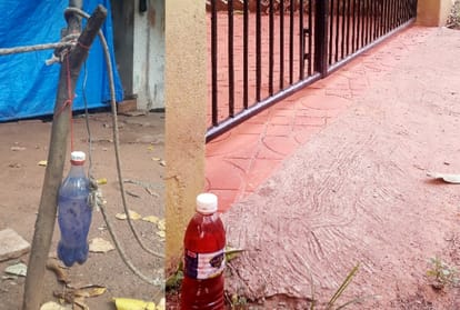 colorful water keep away does and monkey from house