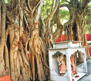 The path of pilgrims easy The temple will be removed to see