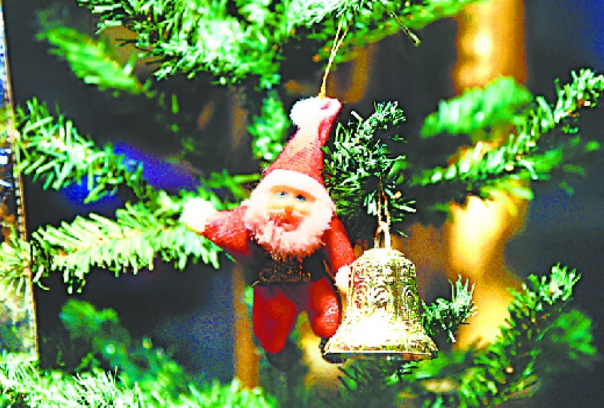 preprations for christmas in lucknow