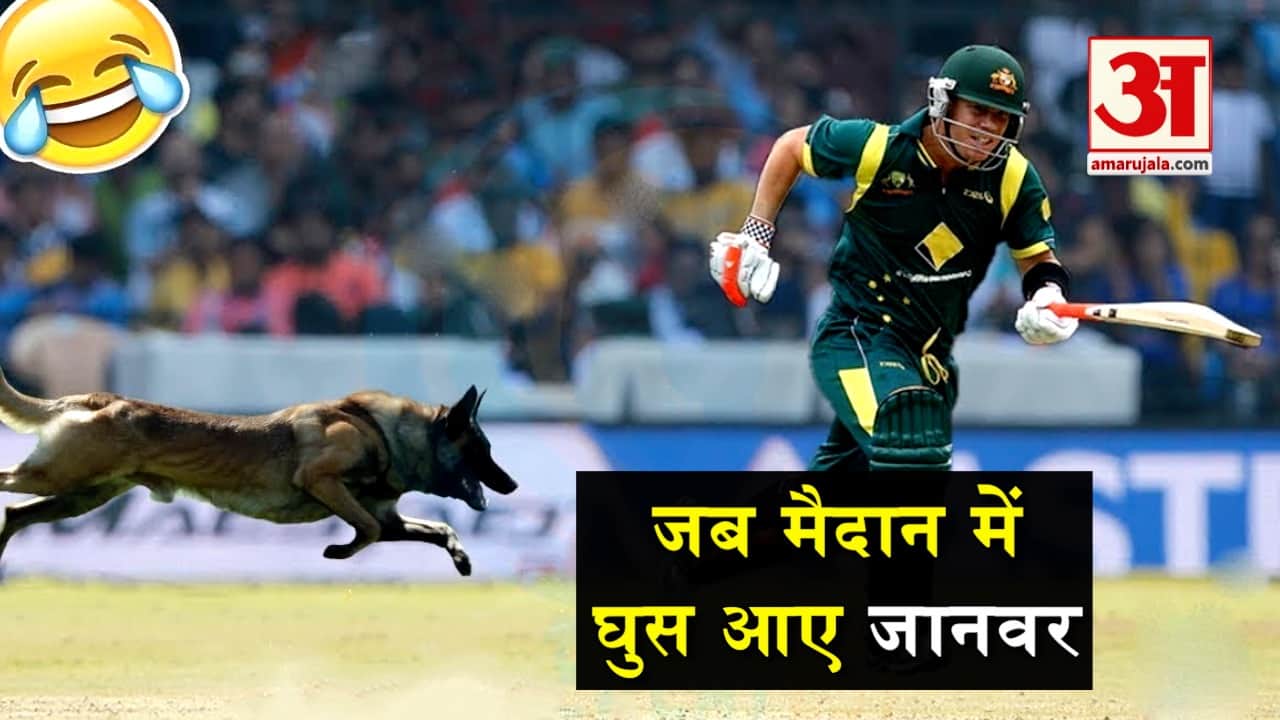 प्रतीकात्मक तस्वीर