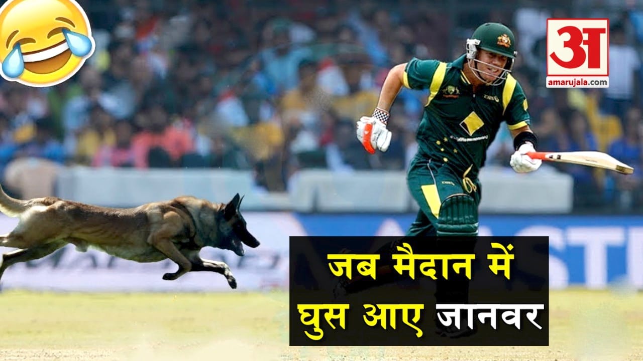 प्रतीकात्मक तस्वीर