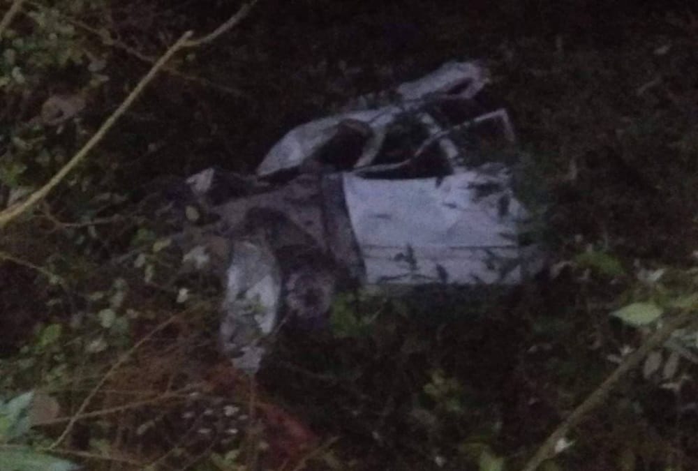 Two Brothers killed in car accident during fall into ditch in tehri