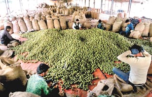 12 million to get Amla identified