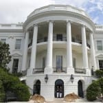 america rats are everywhere in us even on the white house lawn