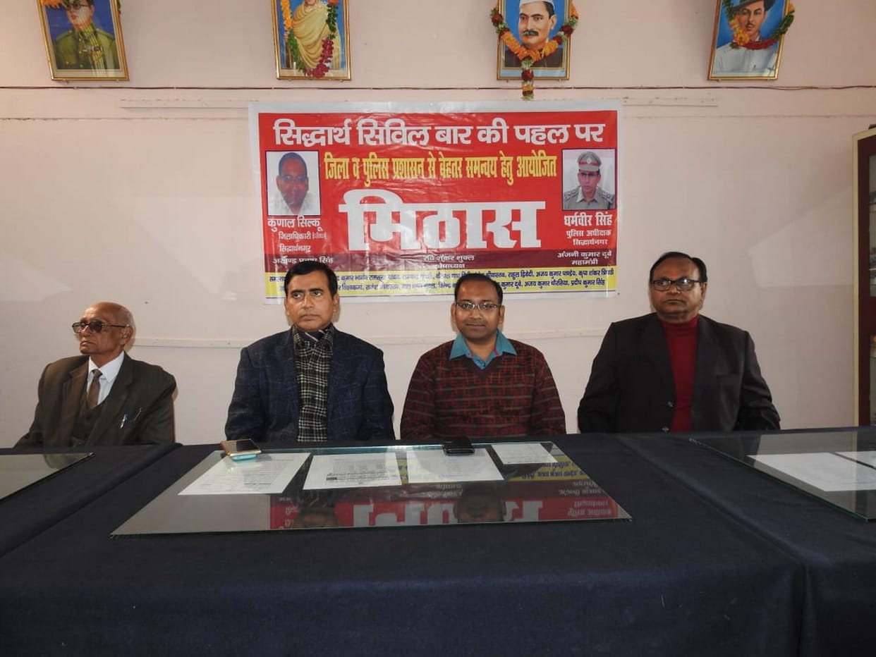 very important role of advocates in democracy
