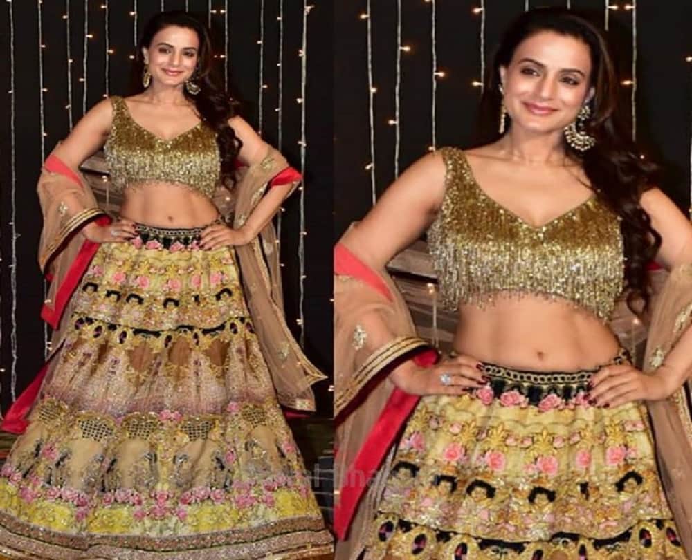 Ameesha Patel shuts down people to 'Get A Life' after news of her allegedly defrauding producer