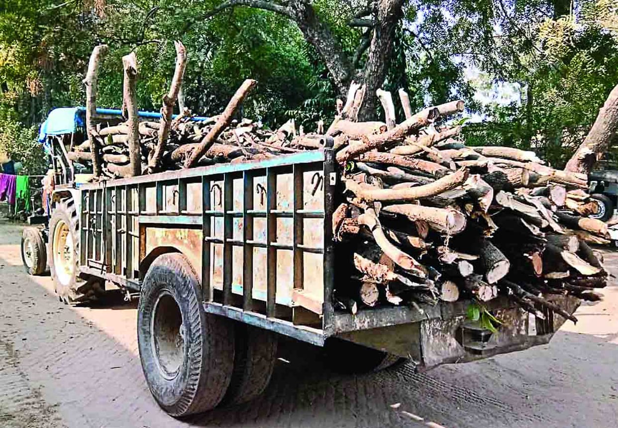 Police will confiscated Property of forest smugglers