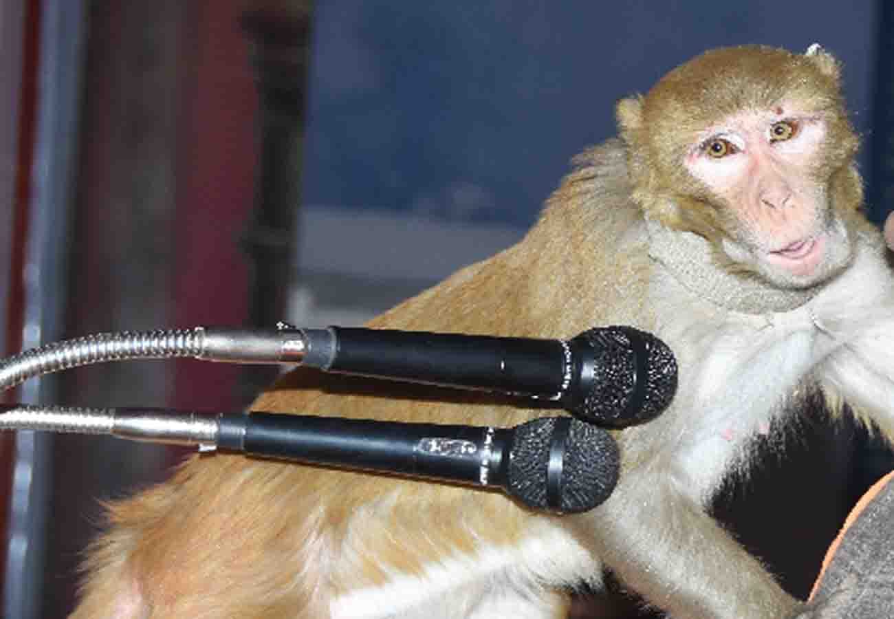 monkey came during ram naam description in a programme