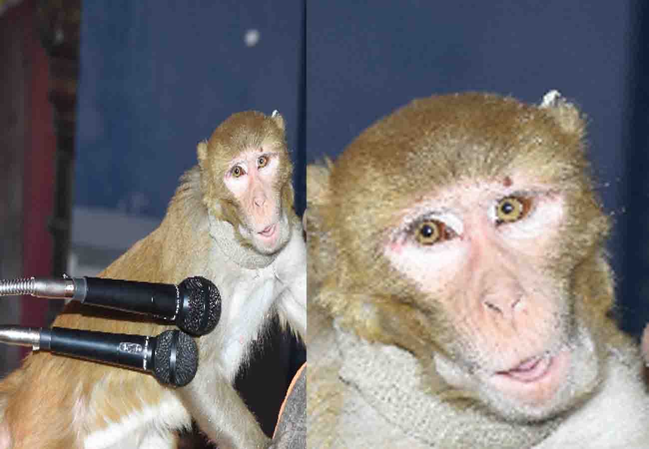 monkey came during ram naam description in a programme