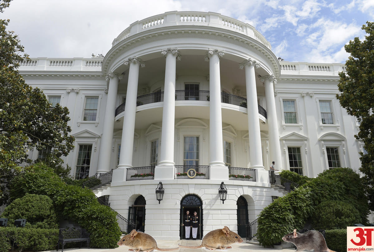 Georgia man arrested in FBI sting for allegedly plotting to attack White House with rocket