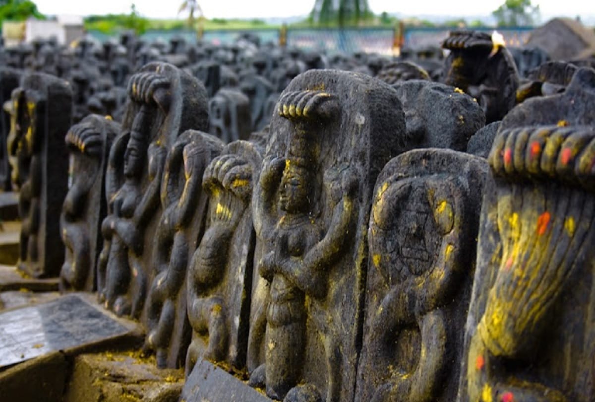 did you know about this snake village of india