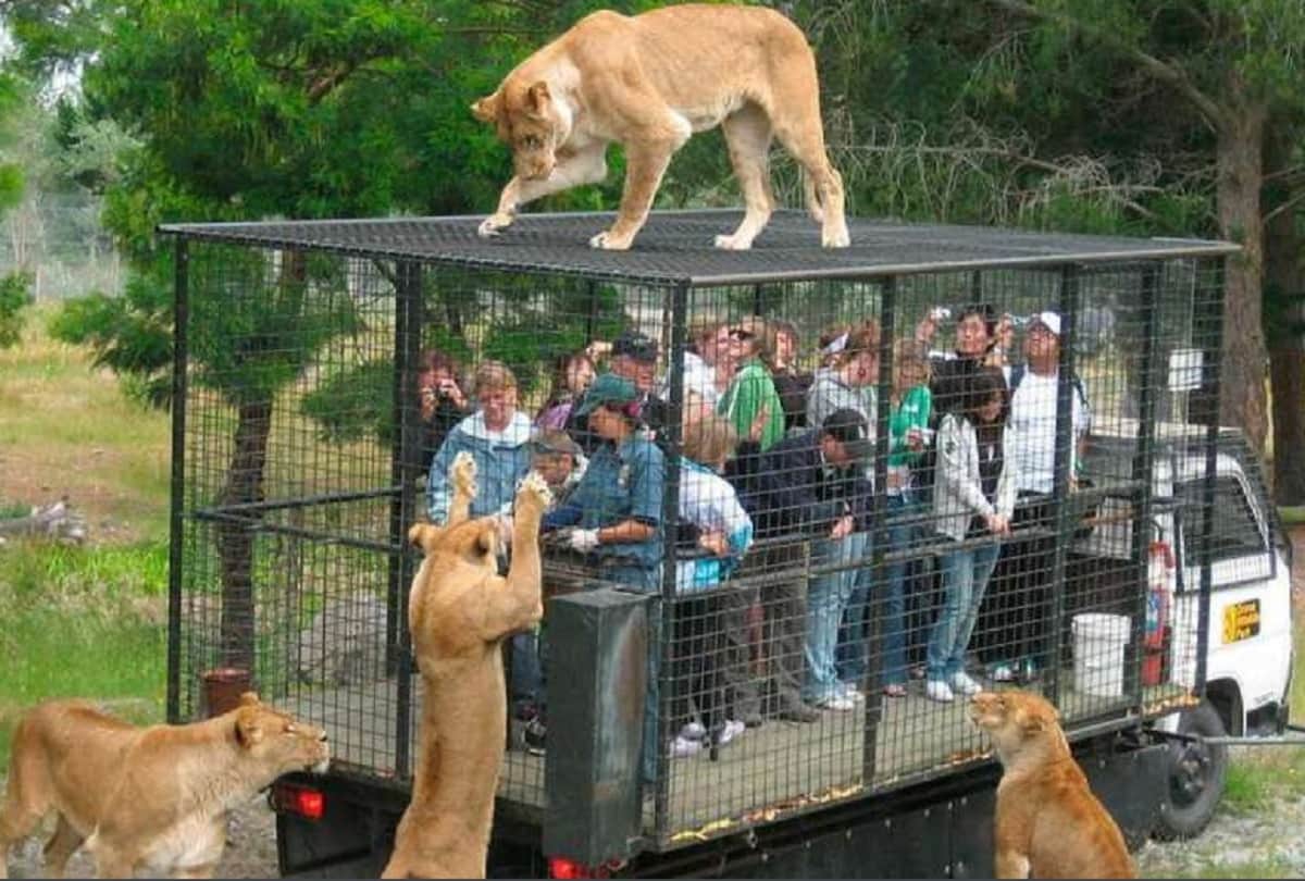 lehe ledu wildlife china Most dangerous zoo in the world