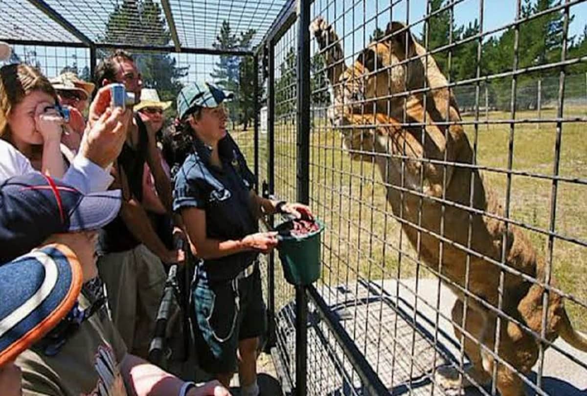 lehe ledu wildlife china Most dangerous zoo in the world