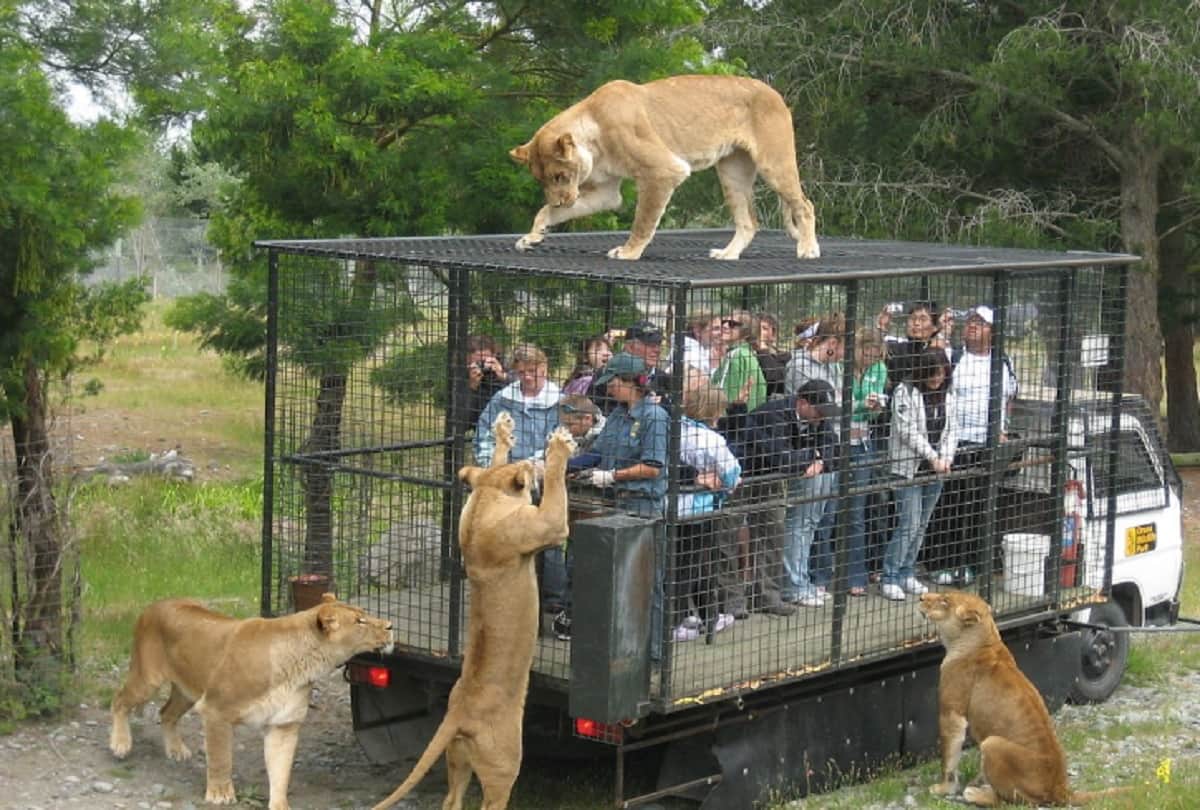 lehe ledu wildlife china Most dangerous zoo in the world