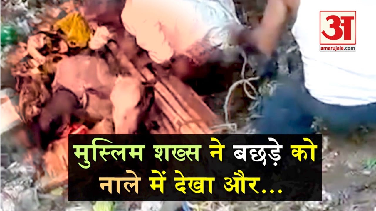 डिजाइन पिक्चर