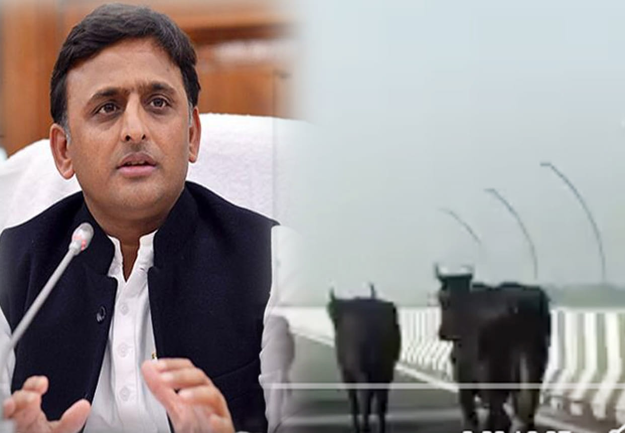 Akhilesh yadav statement about express way