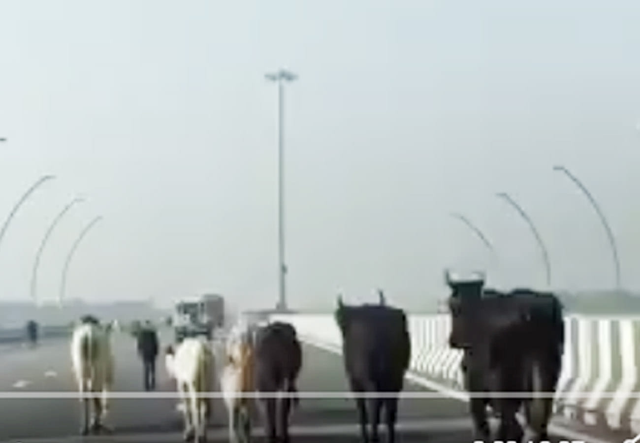 Akhilesh yadav statement about express way