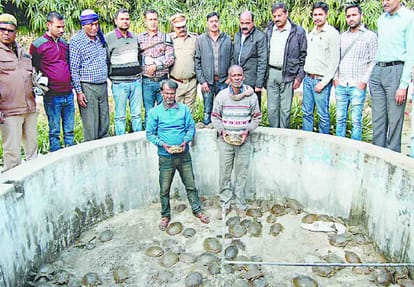 police arrested Smuggler gang with 447 Turtle