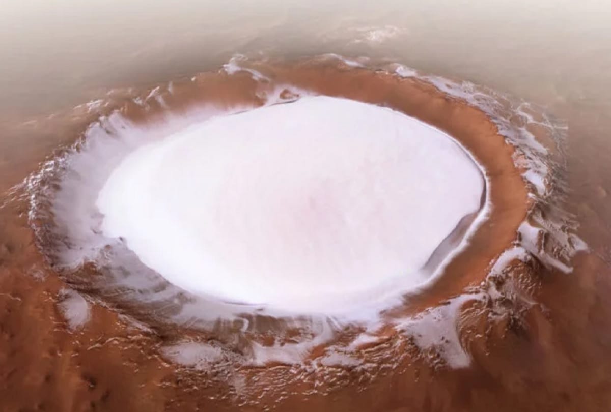 humans could survive on Mars by eating INSECTS