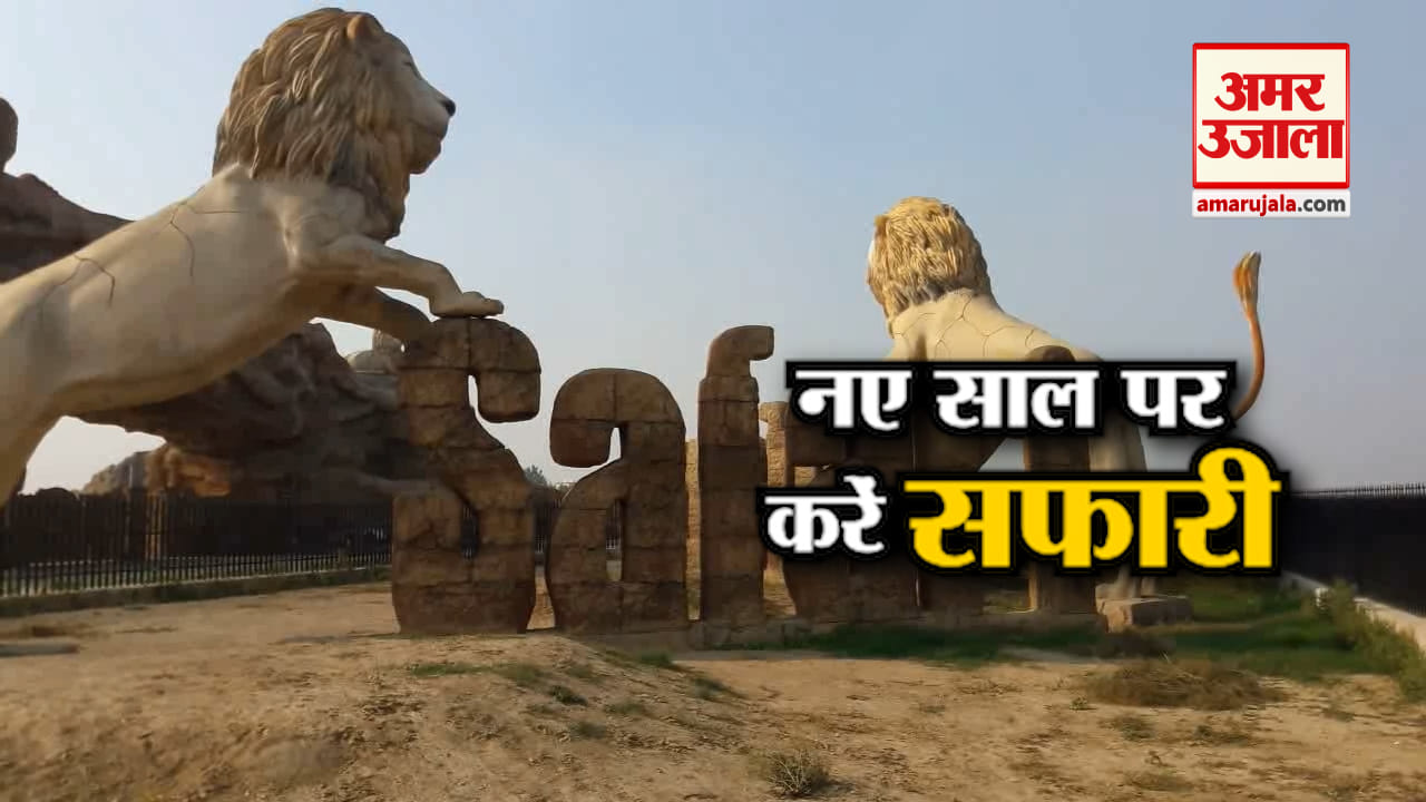 LION SAFARI