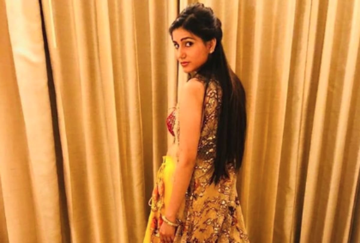 Good Bye 2018, New Year 2019, Bollywood, Sapna Choudhary Video Viral in the Year