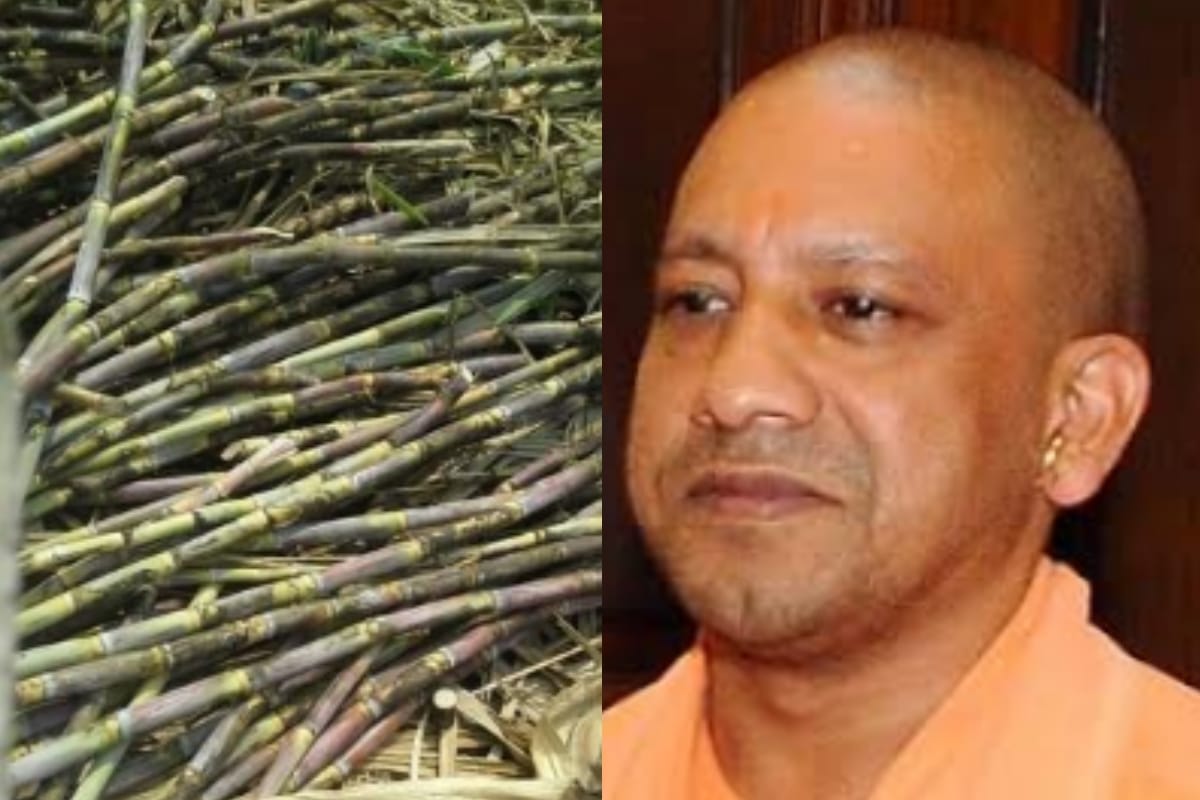 No impact of ultimatum on sugar mills in up RLD warns of protest a