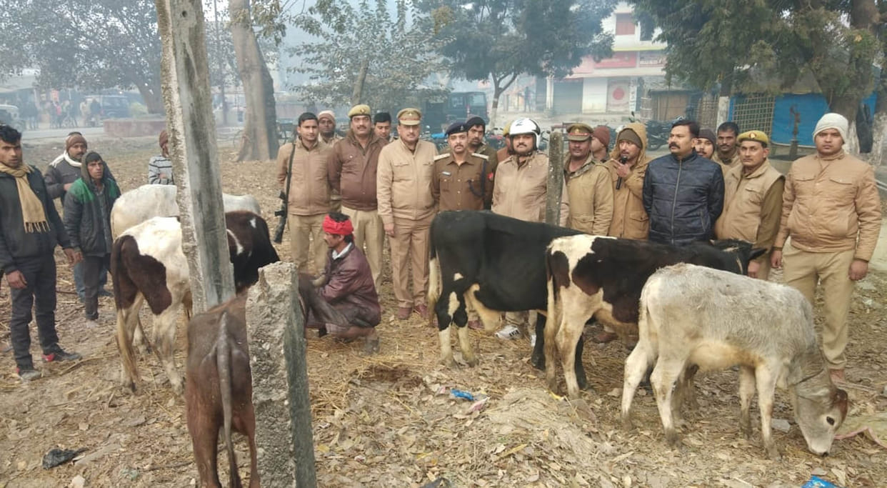 9 held,10 cattle freed